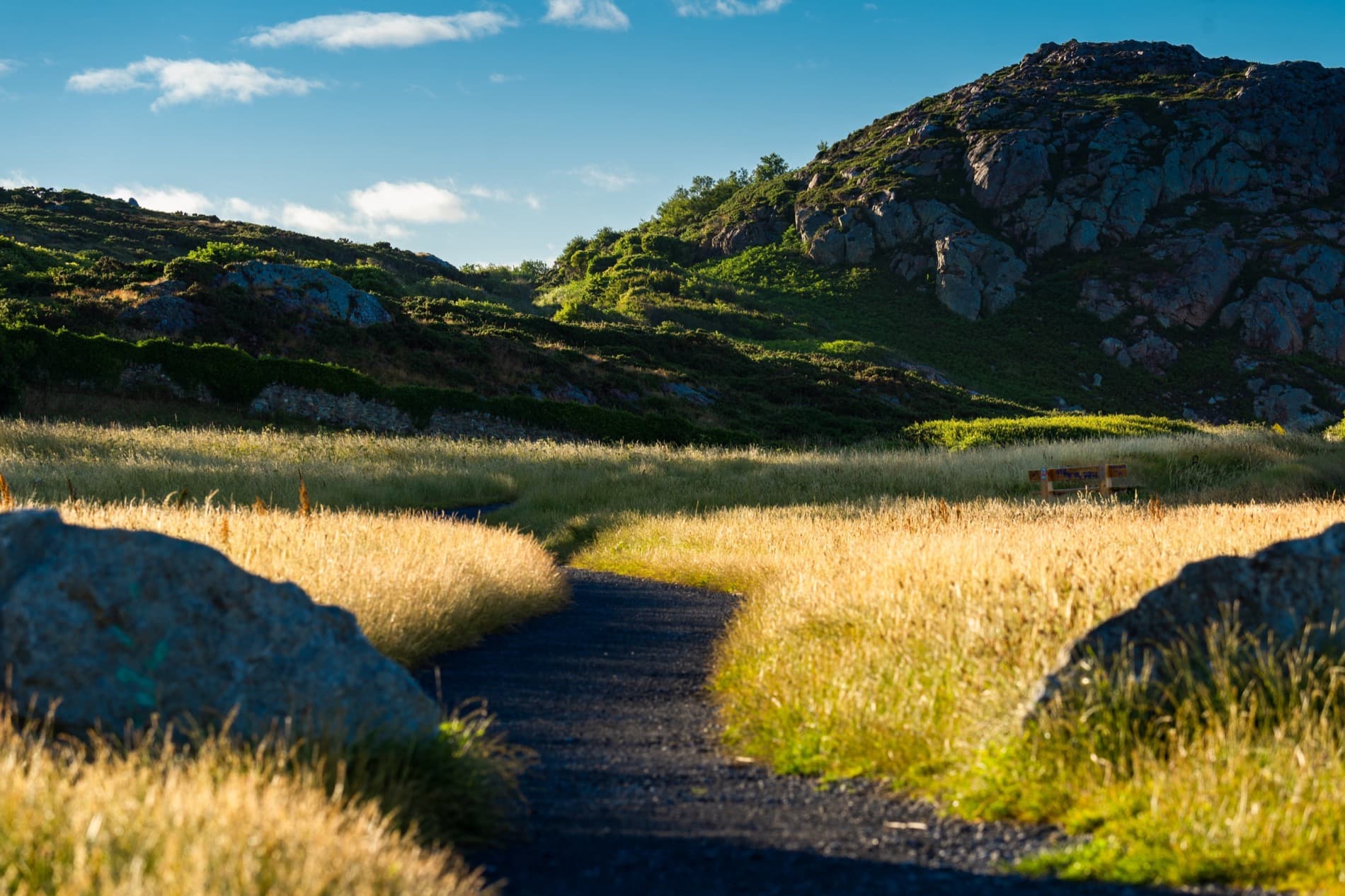 A path through sunlit hills